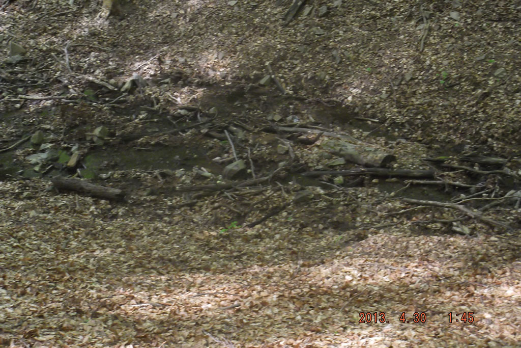 2013-03-29-Karancs 118